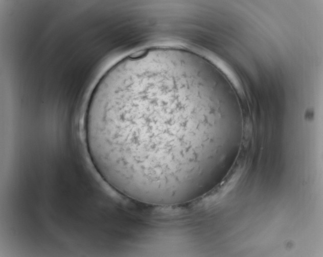 X0000102530959200808221902