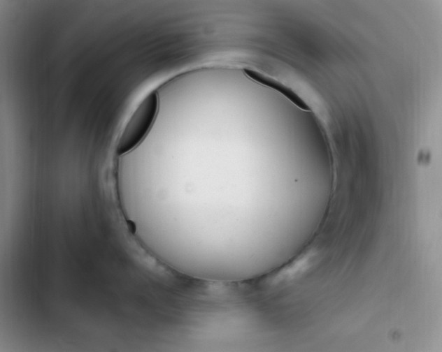 X0000102530960200808221902