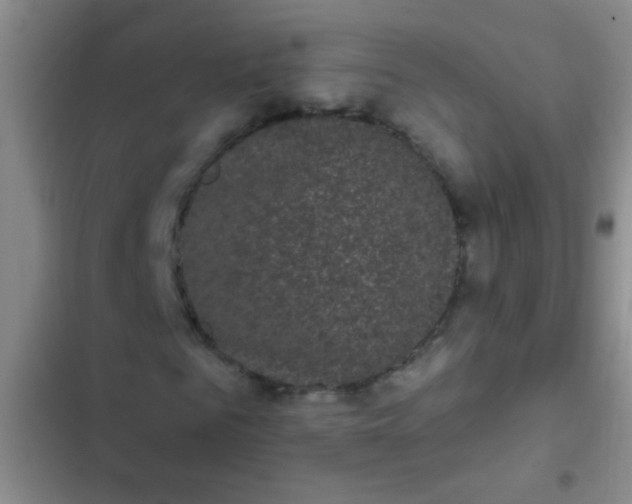 X0000102530961200808221901