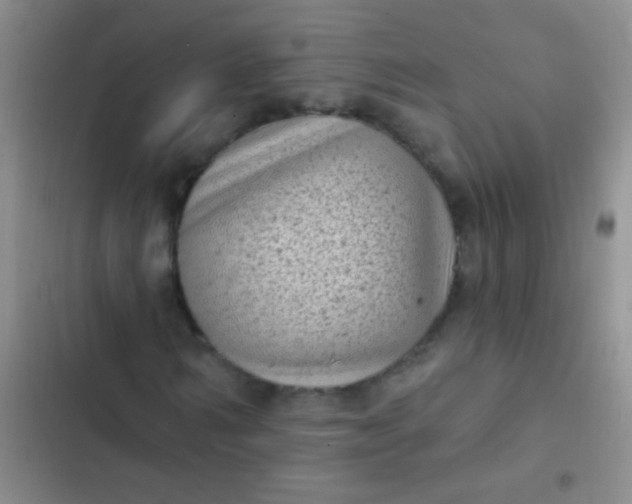 X0000102530962200808221901