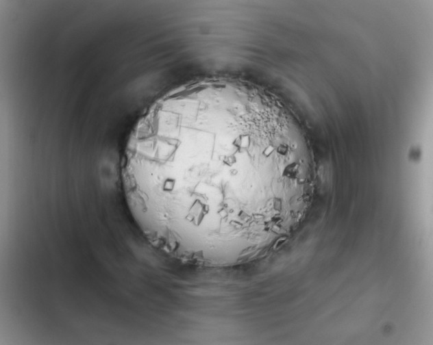 X0000102530963200808221901