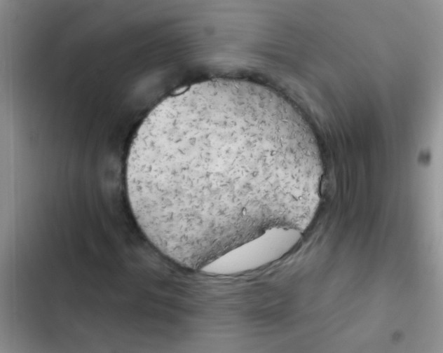 X0000102530964200808221901