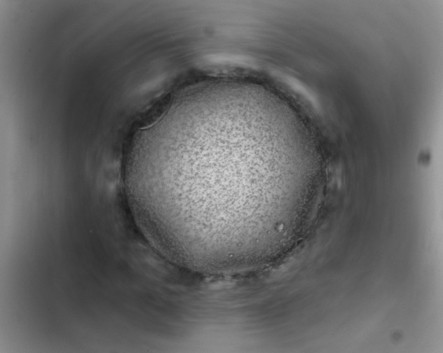 X0000102530965200808221901