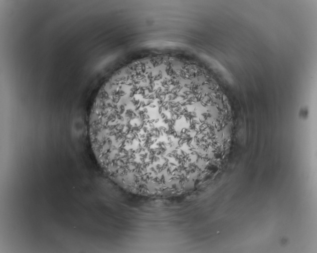 X0000102530966200808221901