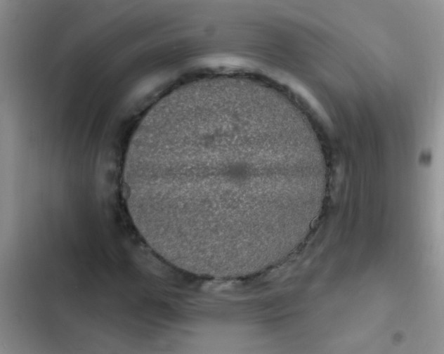 X0000102530967200808221901