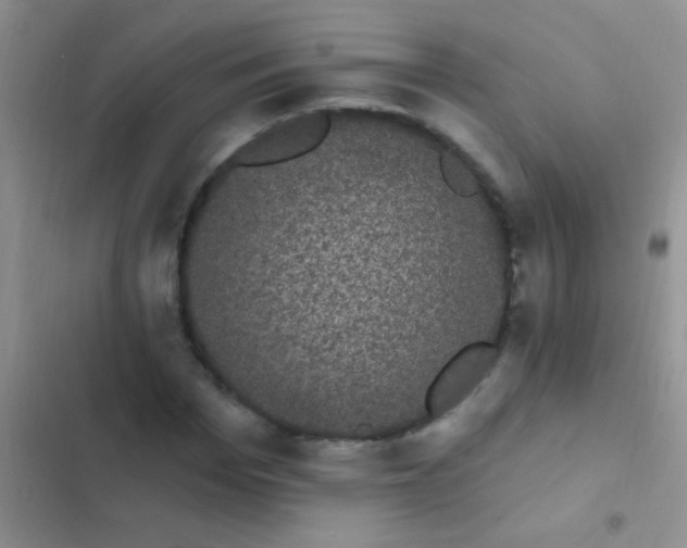 X0000102530969200808221901