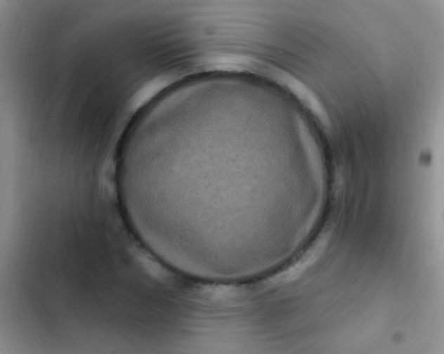 X0000102530970200808221901