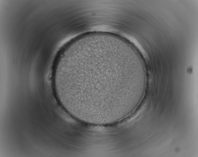 X0000102530971200808221901