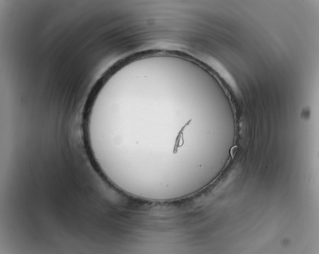 X0000102530972200808221901