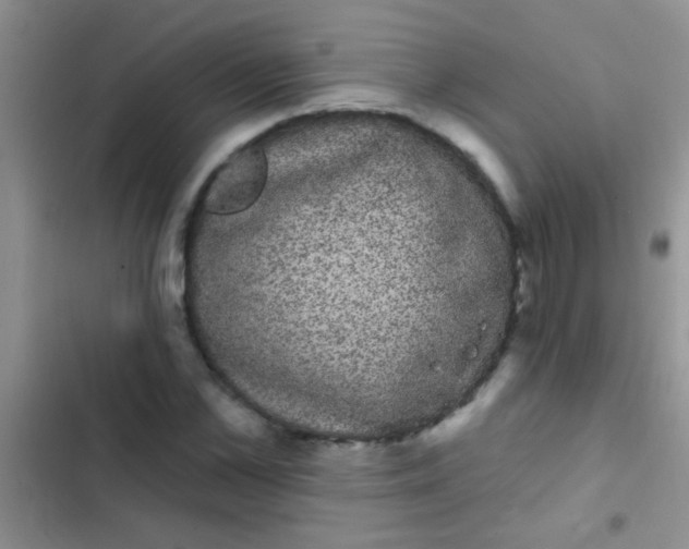 X0000102530973200808221901