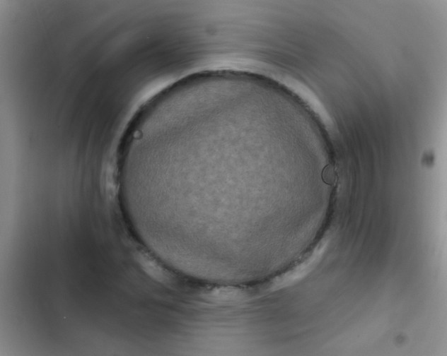 X0000102530974200808221901