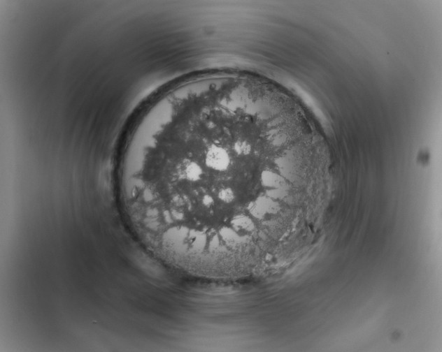 X0000102530975200808221901