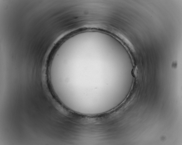 X0000102530976200808221901