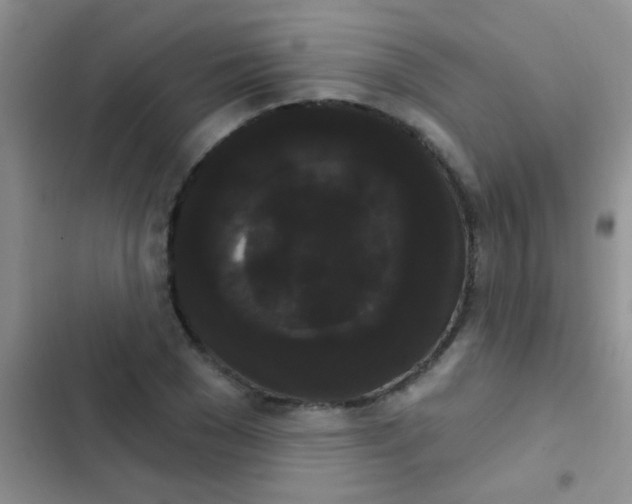 X0000102530977200808221901