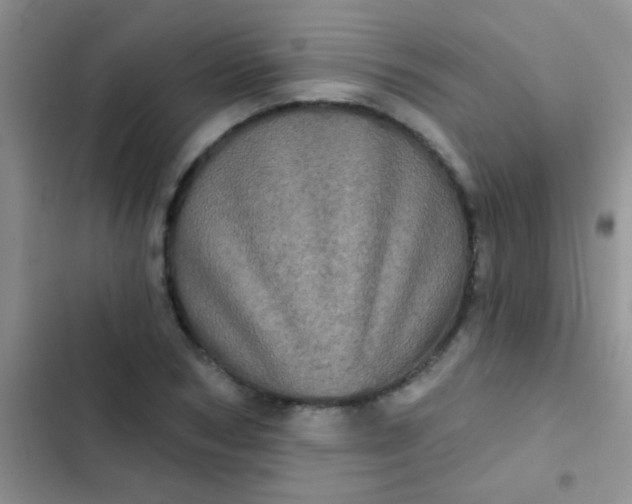 X0000102530978200808221901