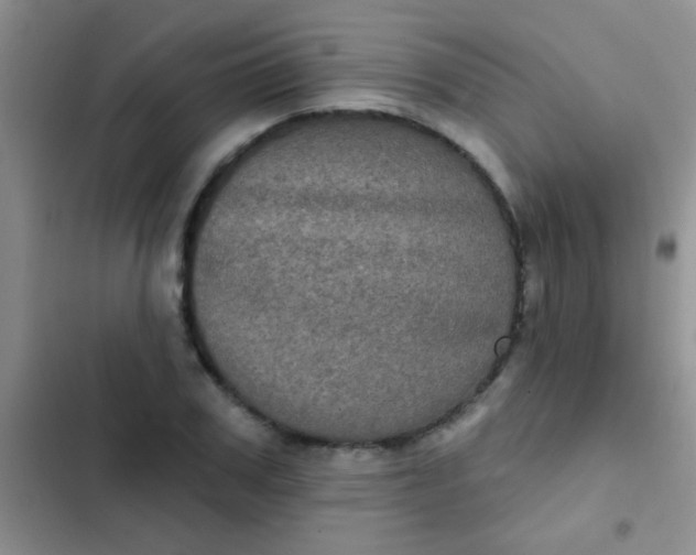 X0000102530979200808221901