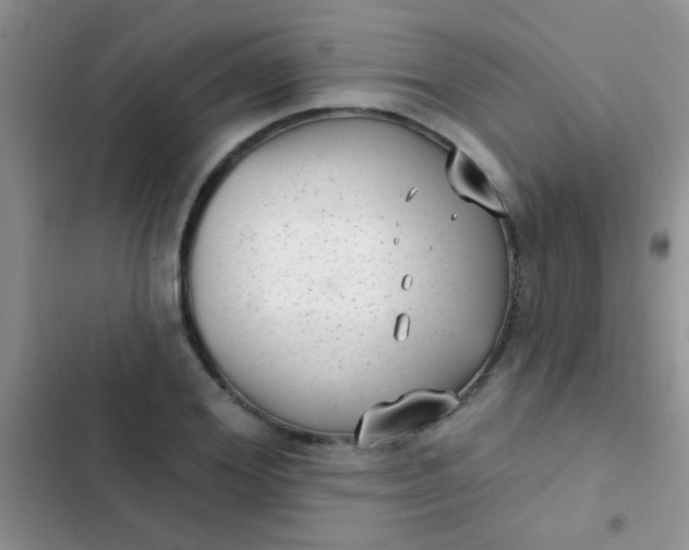 X0000102530980200808221901