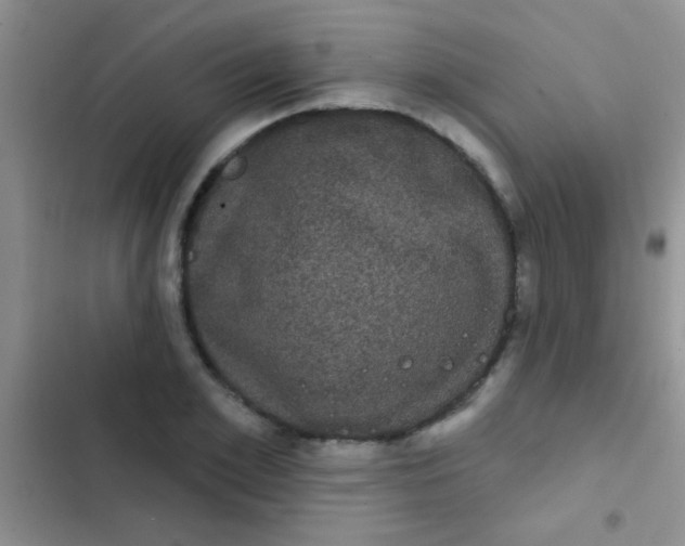 X0000102530981200808221901