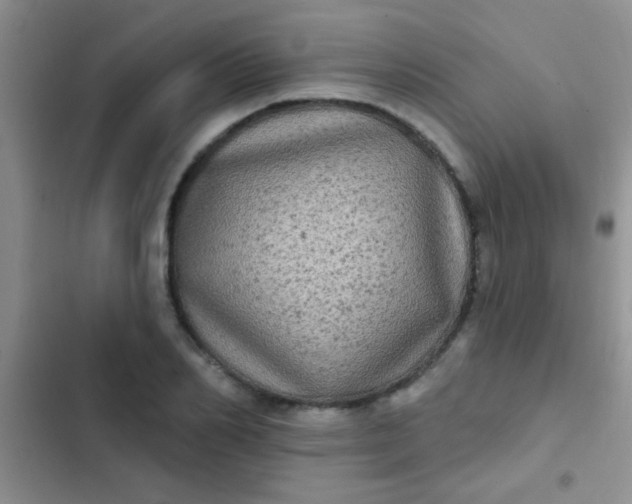 X0000102530982200808221901