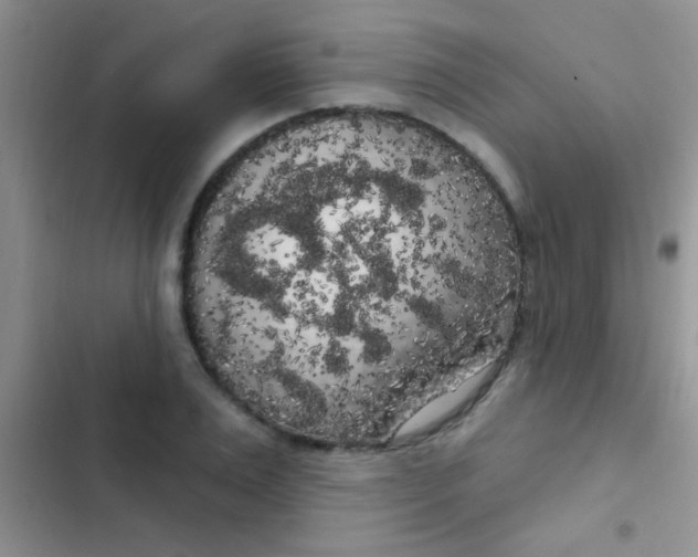 X0000102530983200808221901