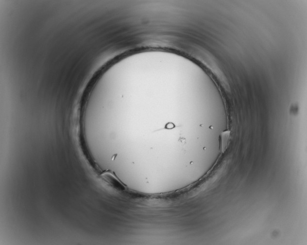 X0000102530984200808221901