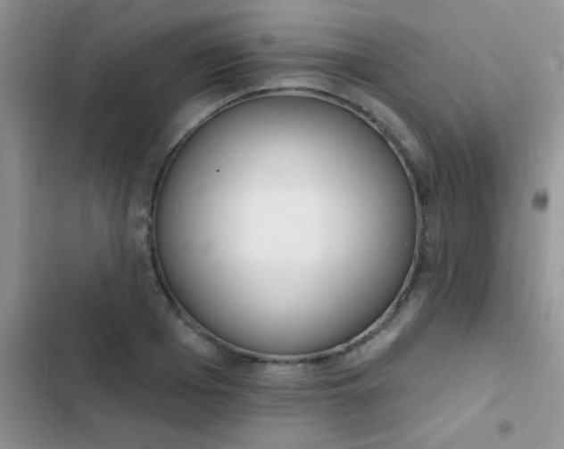 X0000102530985200808221901