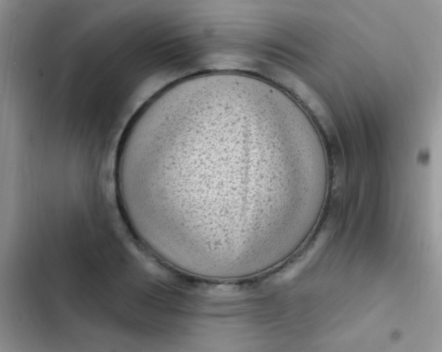 X0000102530986200808221901