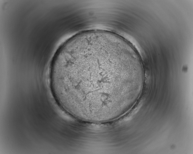 X0000102530987200808221901