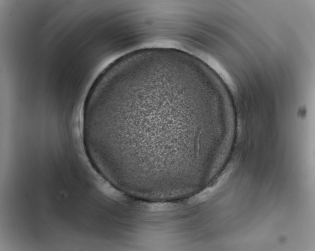 X0000102530988200808221901