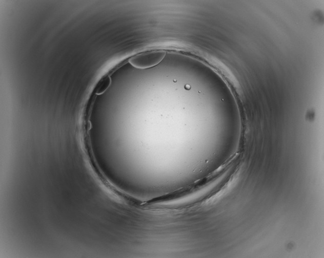 X0000102530989200808221901