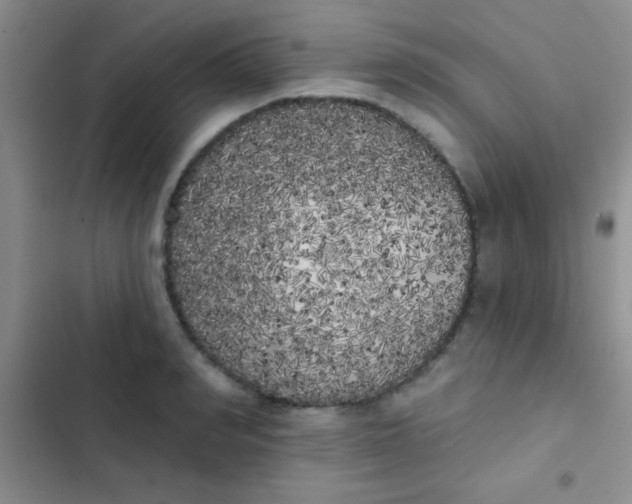 X0000102530990200808221901