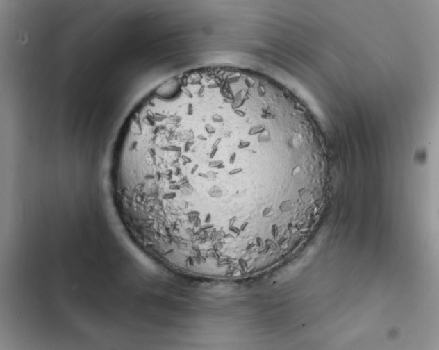 X0000102530991200808221901