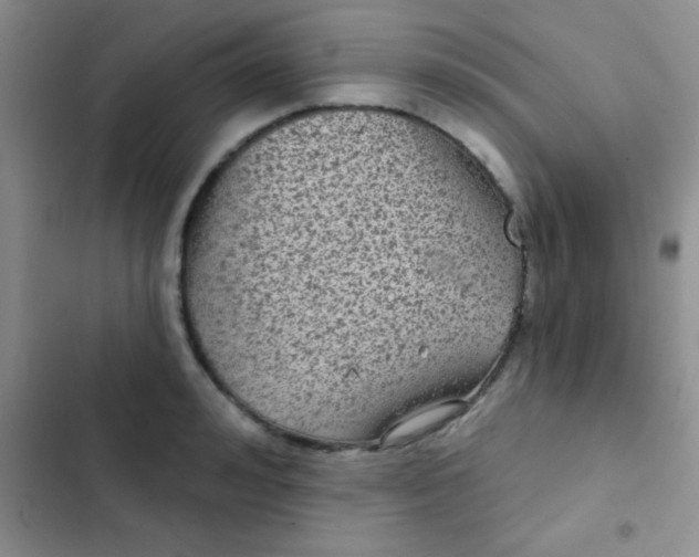 X0000102530992200808221901