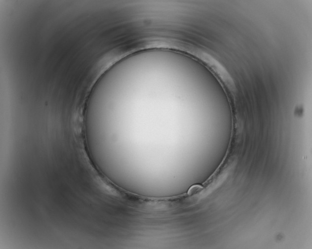 X0000102530993200808221901