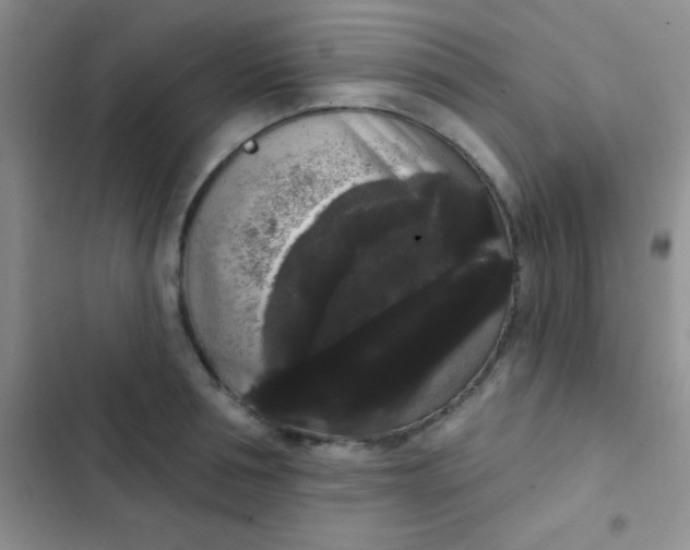 X0000102530994200808221901