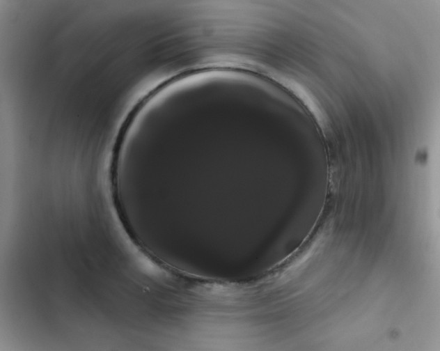 X0000102530995200808221901