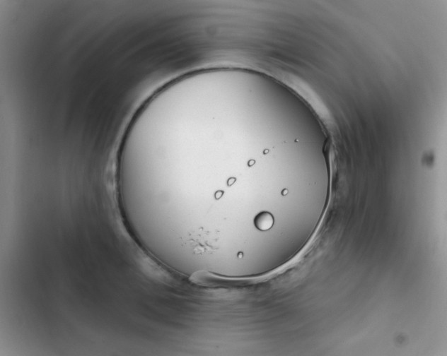 X0000102530996200808221901