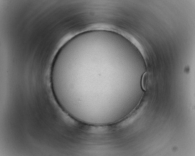 X0000102530997200808221901