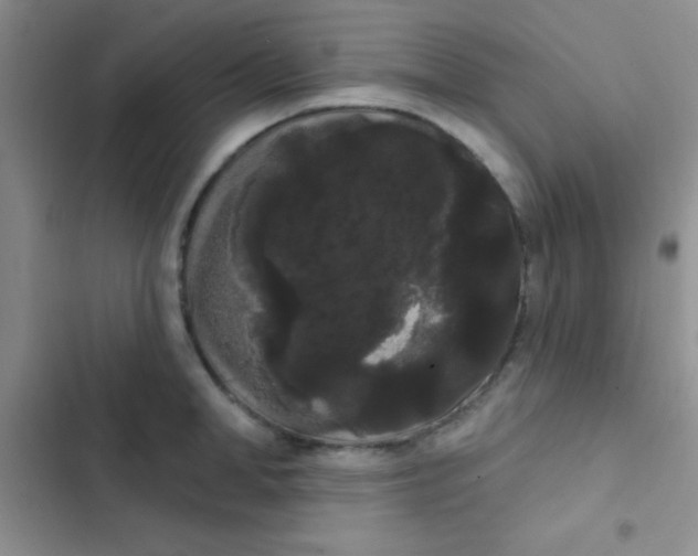 X0000102530998200808221901