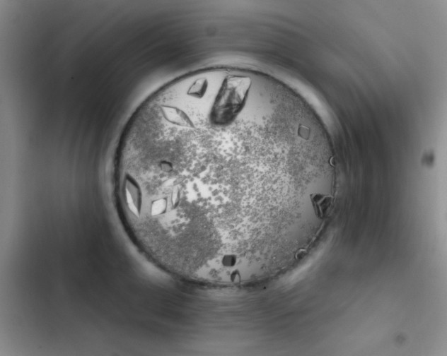 X0000102530999200808221901