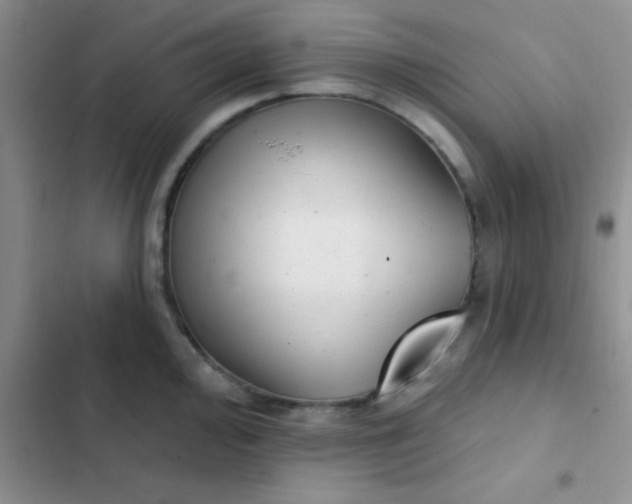 X0000102531000200808221901