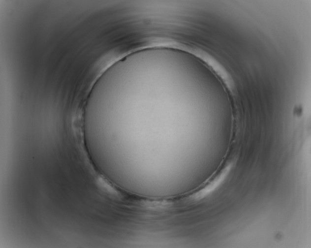 X0000102531001200808221901