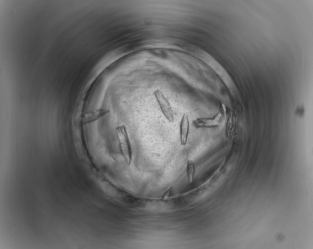 X0000102531002200808221901