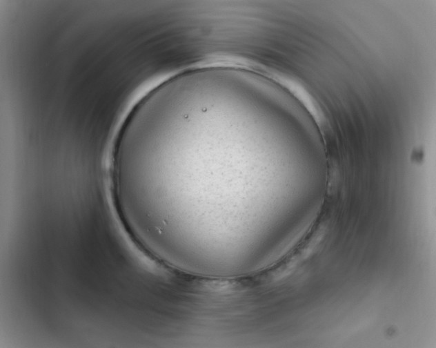 X0000102531003200808221901