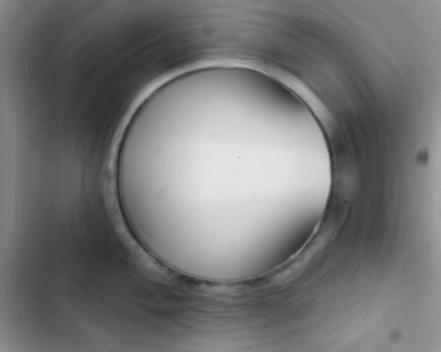 X0000102531004200808221901