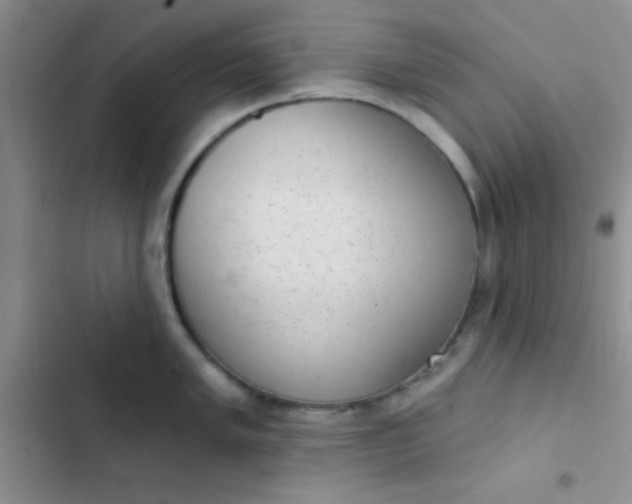 X0000102531005200808221901