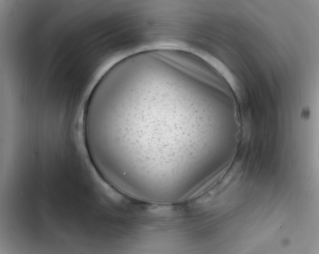 X0000102531006200808221901