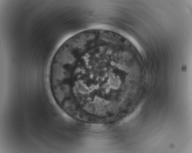 X0000102531007200808221901