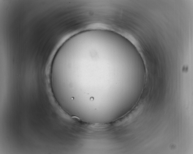 X0000102531008200808221901