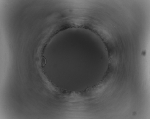 X0000102531009200808221900